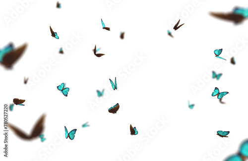 Butterfly flying virtual cg special effects film and television movie insects natural material elements fantasy photo border png