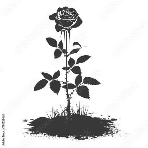 Silhouette rose flower in the ground black color only