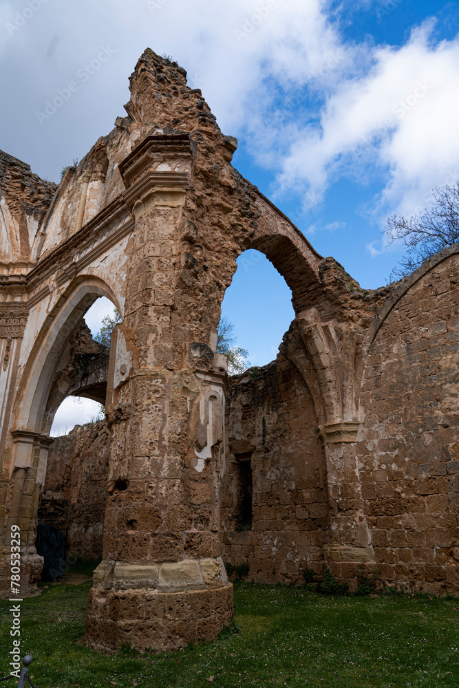 Majestic Ruins of Monasterio de Piedra's Cloister