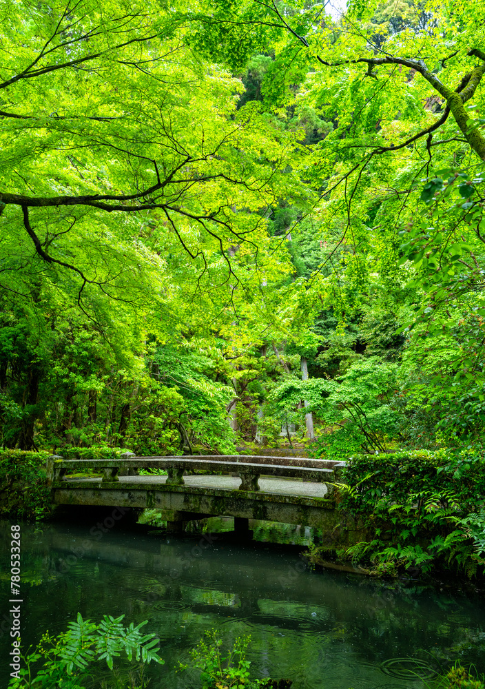 A temple garden in Kyoto