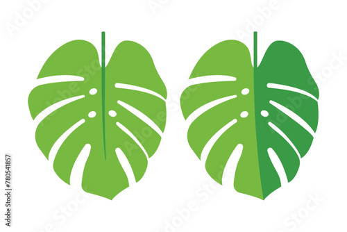 Monstera Leaf Flat Style