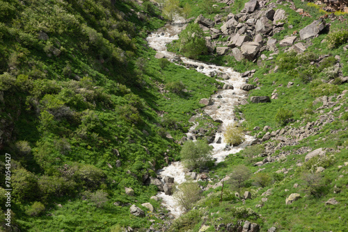 View Of A Gorge With A River On Mount Aragats In Armenia