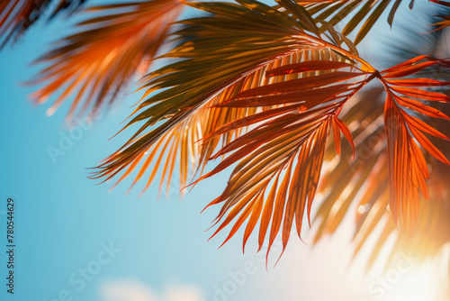 Sunlight Filtering Through Vibrant Red Palm Leaves
