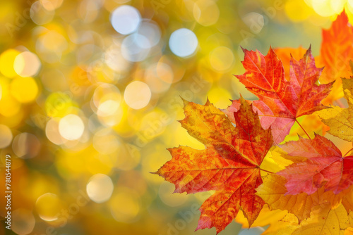 Autumn Splendor  Vibrant Maple Leaves Against Blurred Golden Bokeh Background