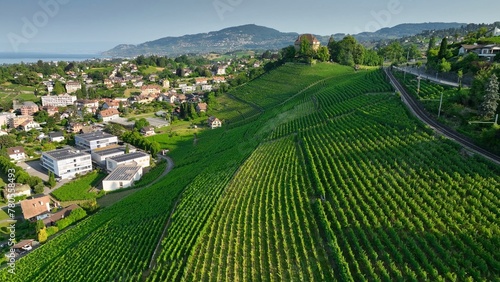 Lavaux wine region with many wineries and vineyards. Aerial view of vineyards on shores Geneva Lake in Switzerland 