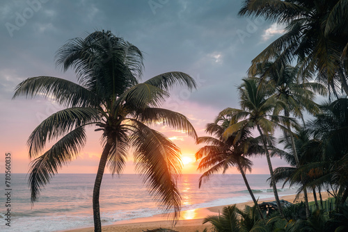 Sunset over Indian ocean. Coconut palm trees on sand beach in south coast of Sri Lanka.. photo