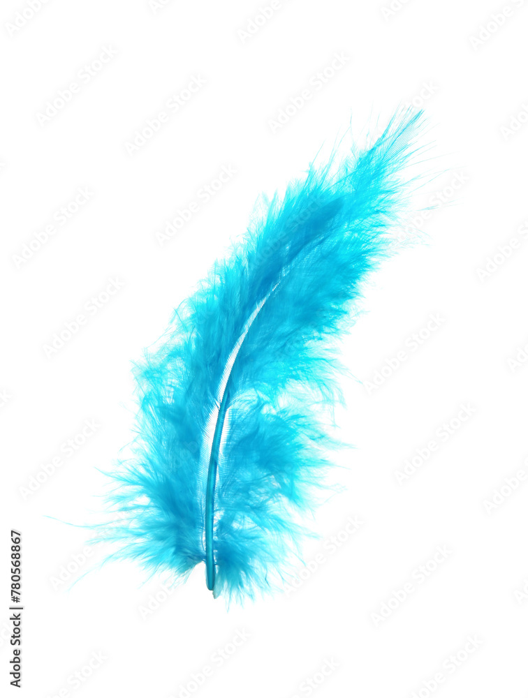 Beautiful light blue feather isolated on white