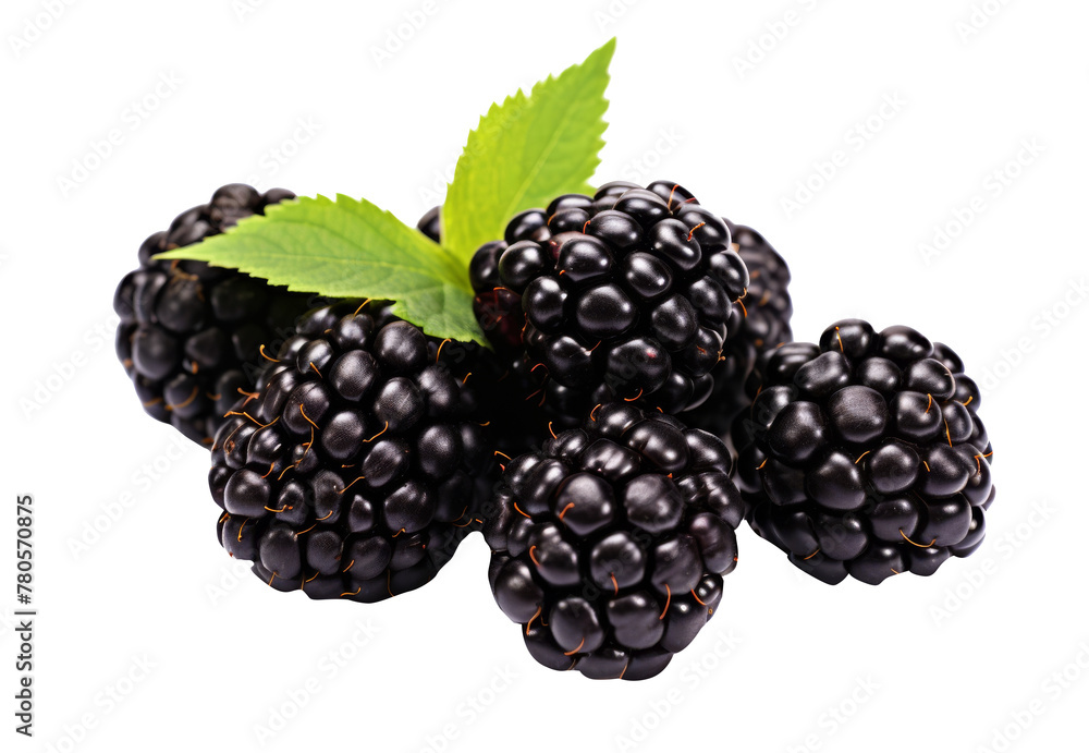 Ripe group of blackberry fruit isolated on transparent background cutout, PNG file. Ripe group of blackberry fruit isolated on transparent background cutout, PNG file.