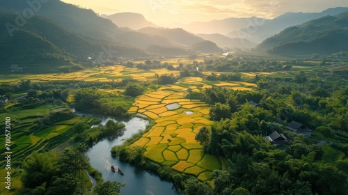 Aerial View of Rice Field Terrace photo