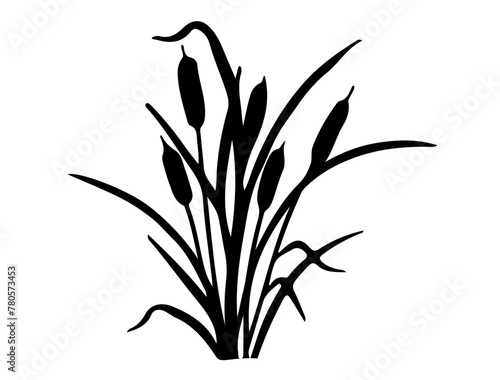 Cattail silhouette vector art white background