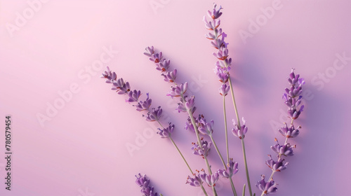 Lavender sprigs on a pastel purple background  a serene and aromatic composition that highlights the delicate beauty and soothing hues of lavender  with a focus on the gentle contrast and harmonious 