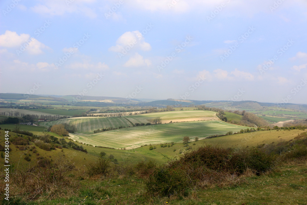 view from the butser hill