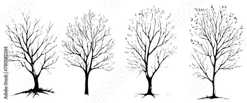 Four trees are shown in different stages of winter. The trees are all bare and have no leaves. The trees are all lined up next to each other, with the first tree on the left