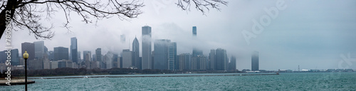Panorama of Chicago  Illinois skyline under the bare branches of winter tree