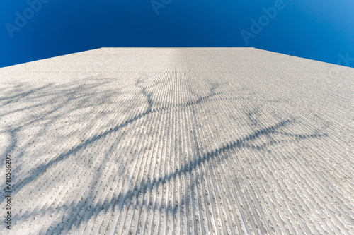 Shadow of the tree on white clay textured wall