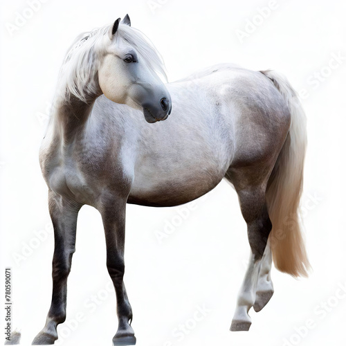The bay horse isolated on white.with Generative AI technology	
