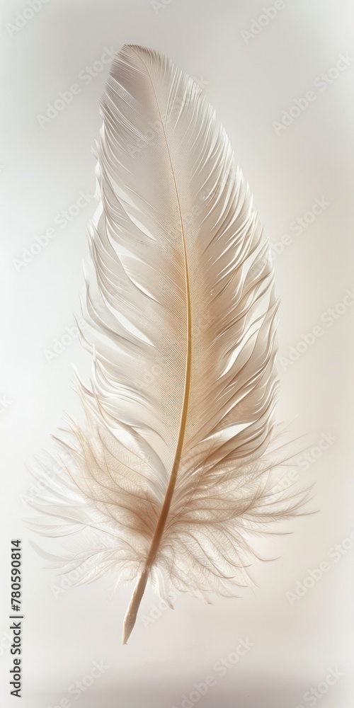 Gentle descent of a feather falling through the air, focusing on its lightweight and graceful movement Gentle descent of a feather falling through the air, focusing on its lightweight and graceful movement