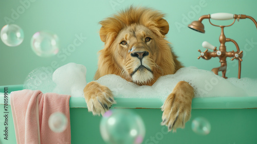 Portrait of a cute lion in a bathtub with bubbles and a pink towel on a pastel green background. Minimal abstract animal concept.