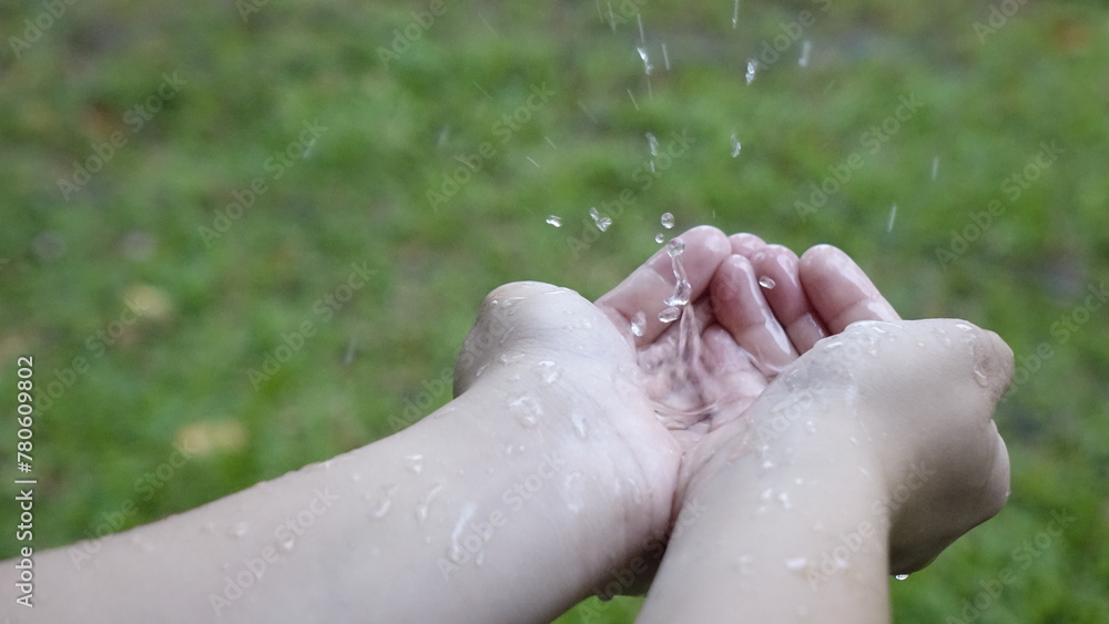 Fototapeta premium Both Hands Collecting Rain Water