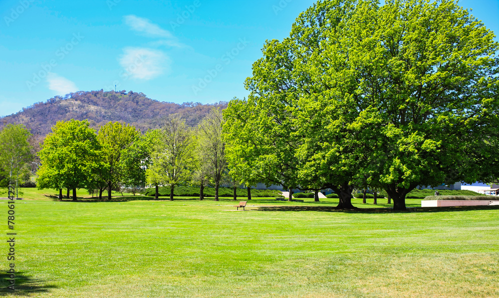 Spring time in Canberra, Australia close to Mount Ainslie. Spring time in Canberra, Australia close to Mount Ainslie.