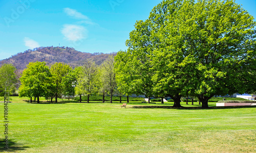 Spring time in Canberra, Australia close to Mount Ainslie.