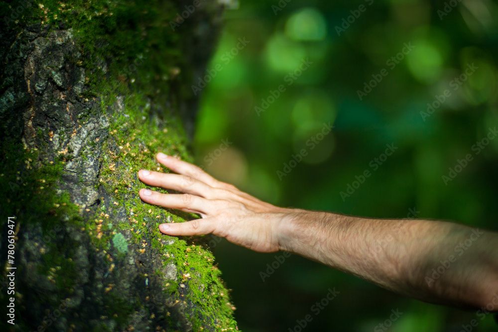 A man's hand touch the tree trunk close-up. Bark wood. Caring for the environment. The ecology concept of saving the world and love nature by human A man's hand touch the tree trunk close-up. Bark wood. Caring for the environment. The ecology concept of saving the world and love nature by human