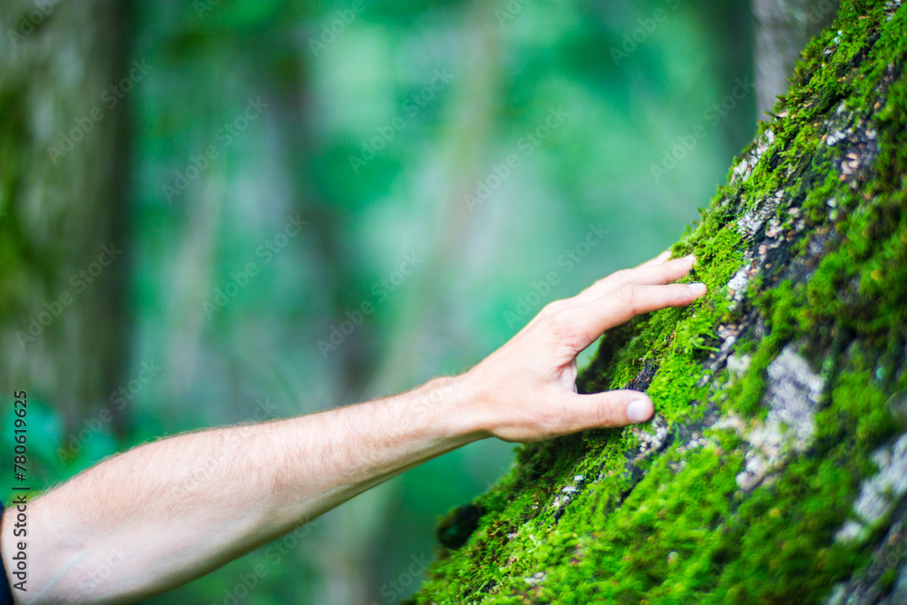 A man's hand touch the tree trunk close-up. Bark wood.Caring for the environment. The ecology concept of saving the world and love nature by human A man's hand touch the tree trunk close-up. Bark wood.Caring for the environment. The ecology concept of saving the world and love nature by human