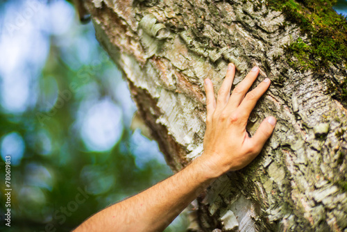 A man's hand touch the tree trunk close-up. Bark wood.Caring for the environment. The ecology concept of saving the world and love nature by human © shaploff