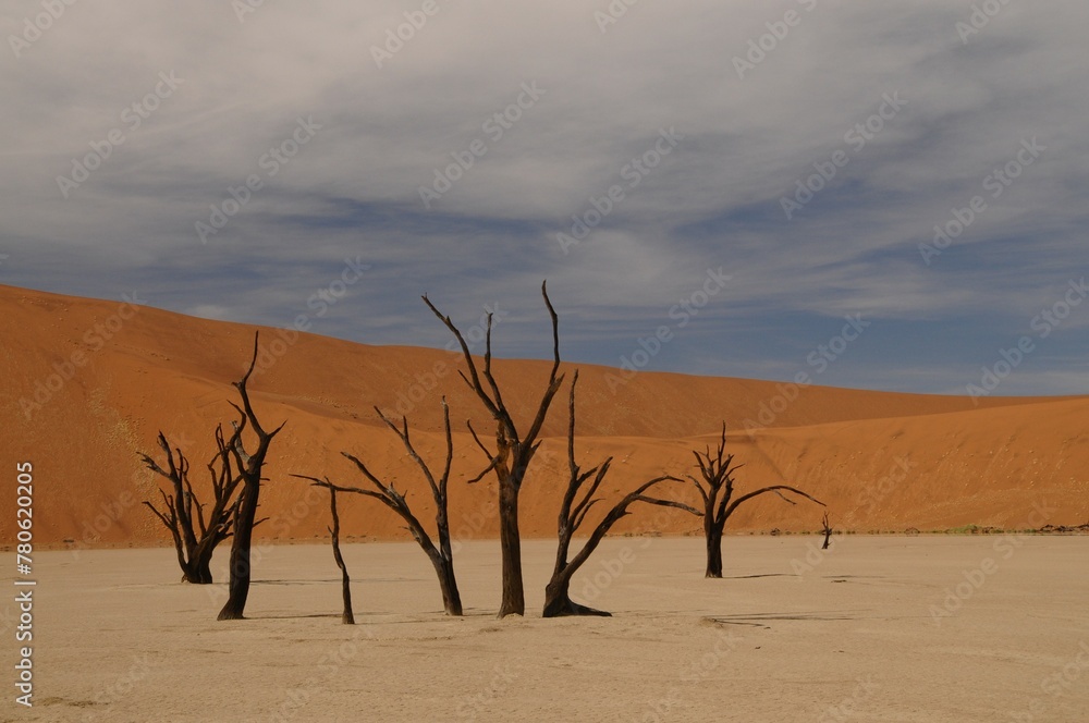 Dead Vlei, Sossusvlei, Namib Desert, Namibia Dead Vlei, Sossusvlei, Namib Desert, Namibia