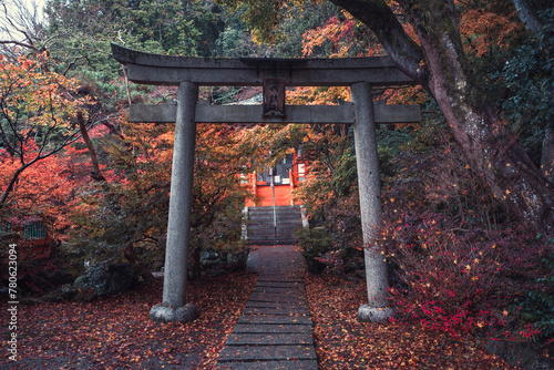 A torii gate in Bishamon-do Buddhist temple with autumn colors, Kyoto, Honshu, Japan photo