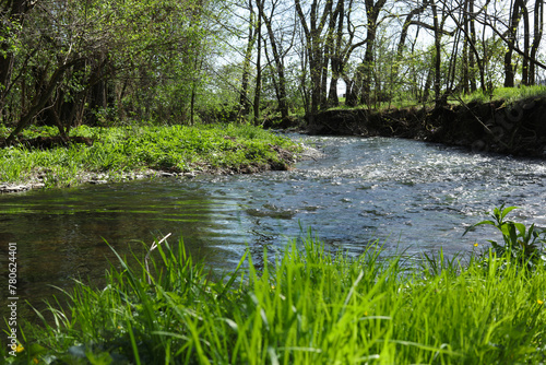 a landscape with a stream in the forest in spring time