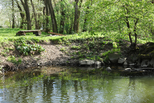 beautiful landscape with a stream in the forest 