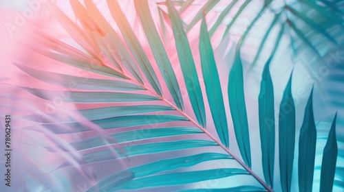 Tropical palm leaves with gradient background, soft focus, high resolution photography, tropical leafs, palm tree leafs, summer mood, turquoise and blue colors, pastel color palette