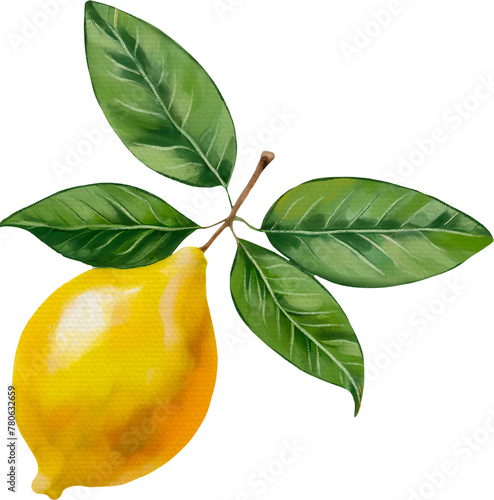 Lemon fruit watercolor isolated on white background. Organic yellow lime, natural summer fruit. Vintage Lemons, Flowers and Leaves. Lemon Bouquetes. Watercolor