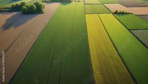 illustrazione con vista aerea di pianure con terreni coltivati photo