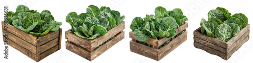 Wooden Box Full Of Collard Greens Hyperrealistic Highly Detailed Isolated On Transparent Background Png © Wander Taste