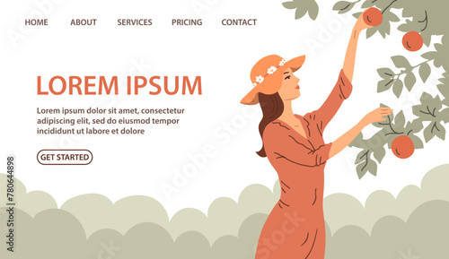 Woman is harvesting apples. A girl near an apple tree. Active people work on the farm in the garden. Autumn fruit season. Vector illustration. Design for banner, website