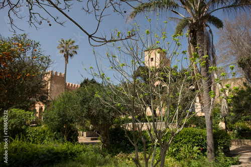 Morocco view of the city of Tangier on a sunny spring day.