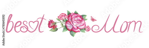 Pink rose flowers set close up isolated on white background.