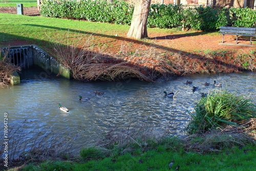 Park in Farnham, Surrey, England 