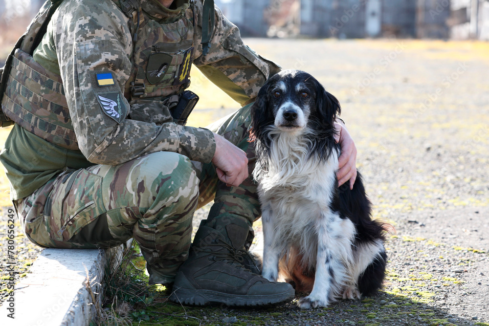 Ukrainian soldier with stray dog outdoors on sunny day, closeup Ukrainian soldier with stray dog outdoors on sunny day, closeup
