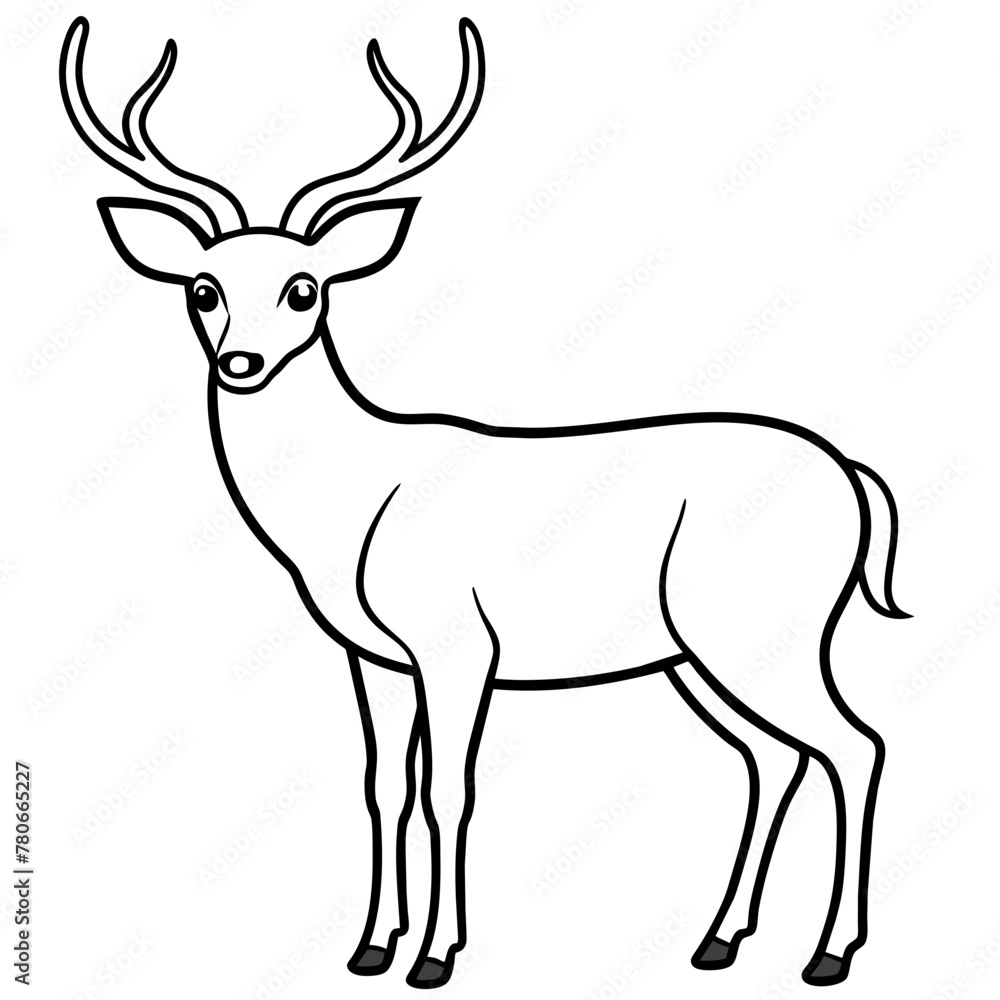 Fototapeta premium Deer vector illustration style. 