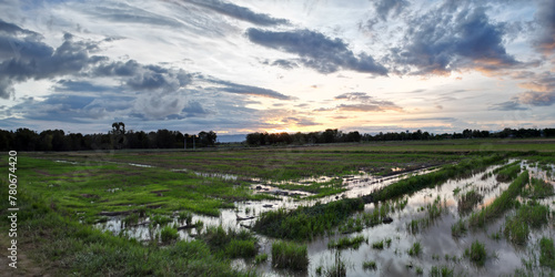 The rice fields and sky reflect beautiful light.