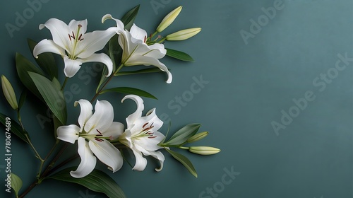 branch of white lilies flowers, condolence card with copy space for text, stock photography