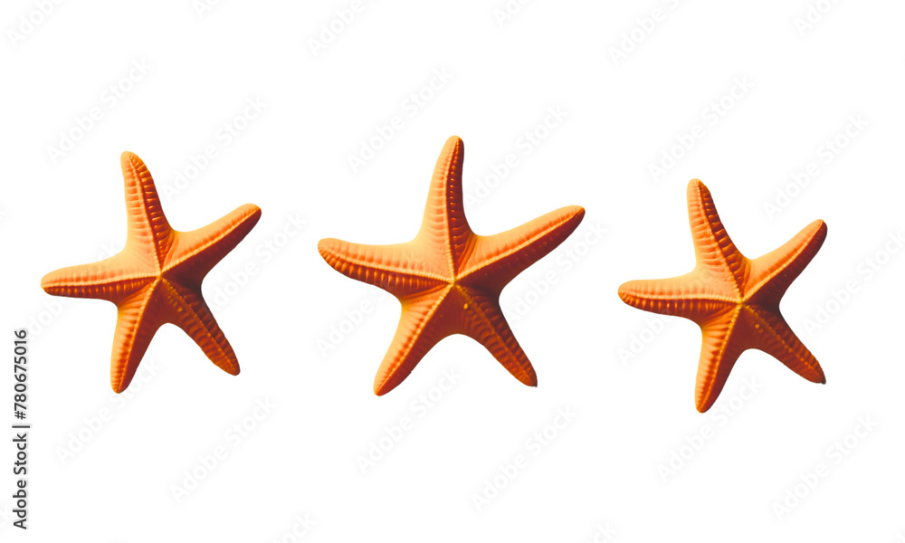Collection of starfishes isolated on white background. Beautiful varieties of sea stars for your design. Png
Collection of starfishes isolated on white background. Beautiful varieties of sea stars for your design. Png