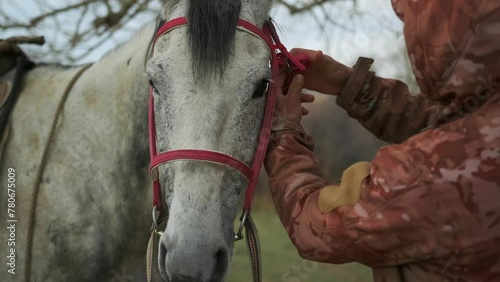 Caretaker correcting the red frenulum horse, close up. Rider farmer with her grey horse outdoors in nature. Taking care of horses. Human and animal love concept.  photo