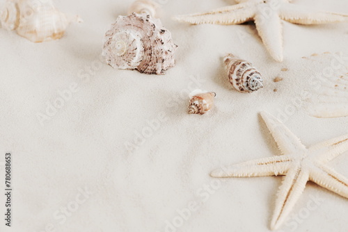 Seashells on sandy beach texture  background with copy space. Summer vacation backdrop.Neutral colors toned. Selective focus.
