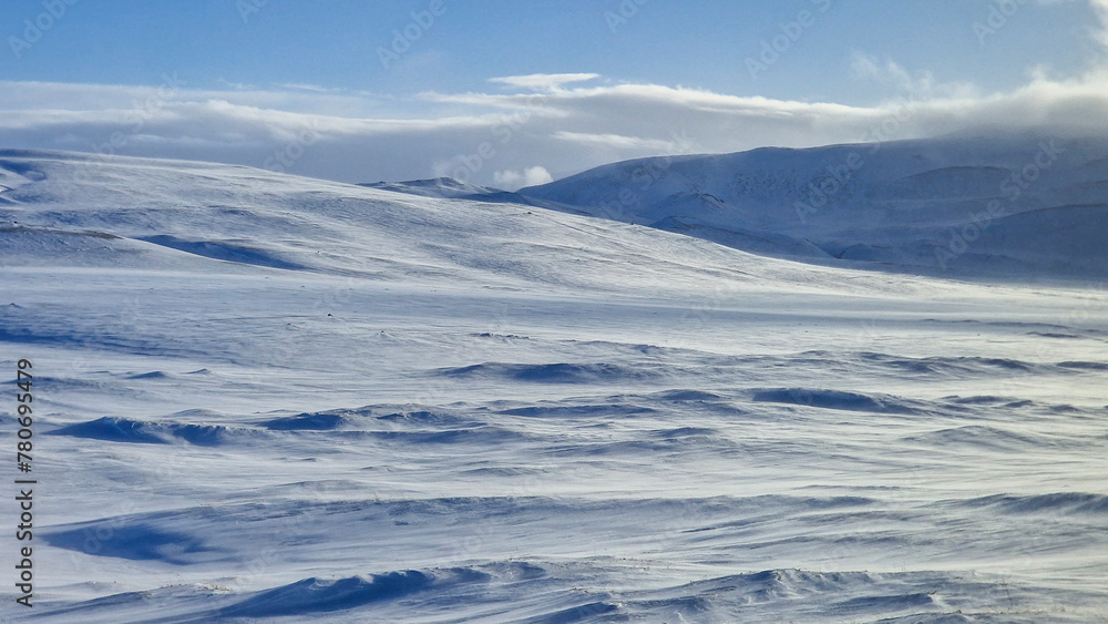Field between snowy mountains in Iceland Field between snowy mountains in Iceland