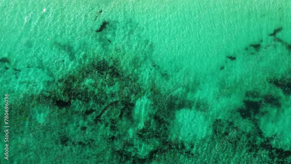 Beautiful sandy beaches in sunny Tulum in Mexico and clear blue water of the Caribbean sea close to Cancun and Playa del Carmen, a perfect vacation destination - Aerial shot drone fly by Beautiful sandy beaches in sunny Tulum in Mexico and clear blue water of the Caribbean sea close to Cancun and Playa del Carmen, a perfect vacation destination - Aerial shot drone fly by