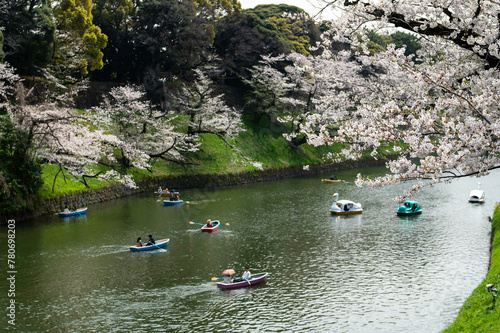 東京都千代田区九段にある千鳥ヶ淵に咲く桜の景色